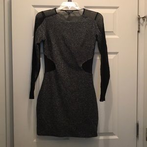 Express Shimmery Short Sheer Dress- Size 6